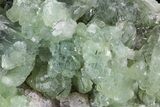 Green Prehnite Crystal Cluster - Morocco #80678-1